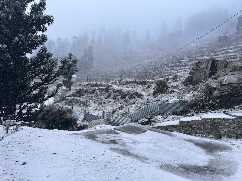 Himalaya Shelter guest house - himalaya shelter guest house, Sankri, Uttarakhand 249128, India