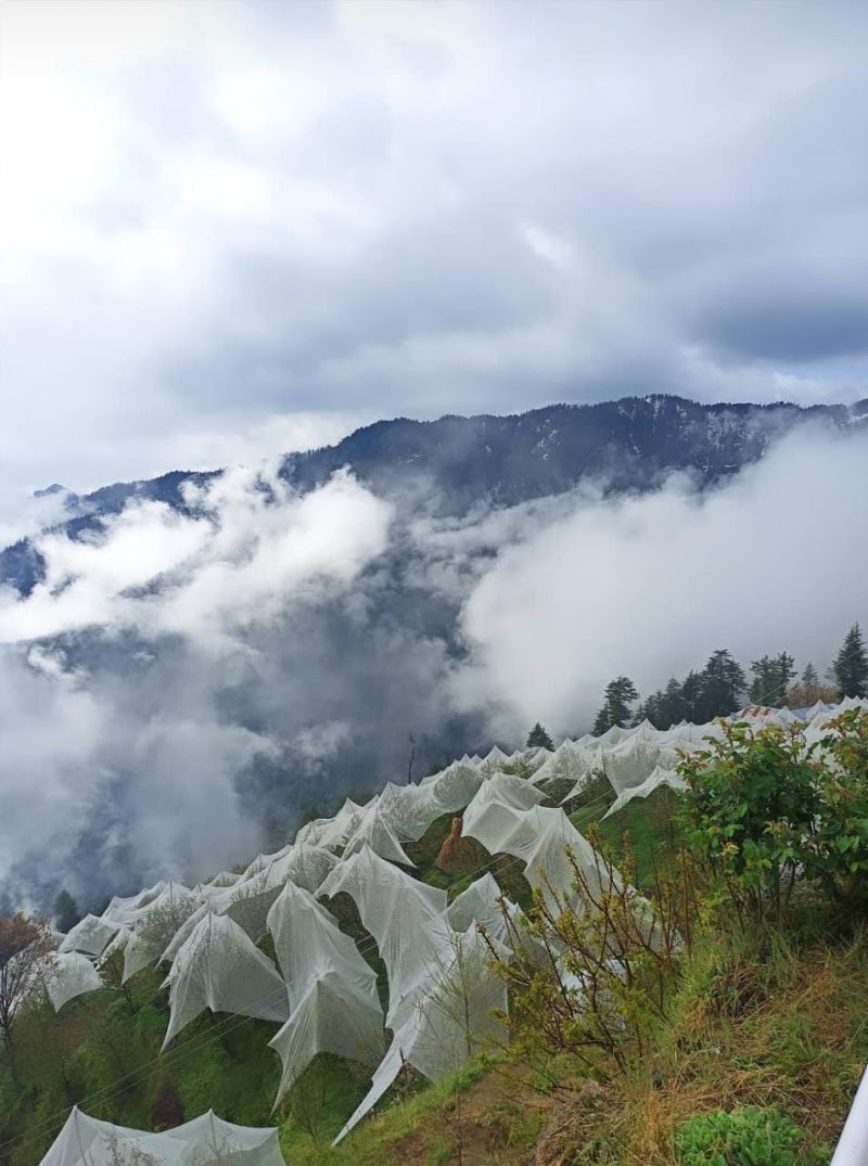 Kotgarh - Kotgarh Kotgarh, Himachal Pradesh, India