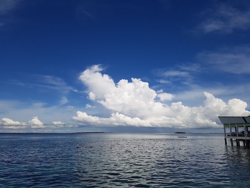 Gilutongan Marine Sanctuary - Gilutongan Marine Sanctuary, 6X5P+G9P, Unnamed Road, Cordova, Cebu, Philippines