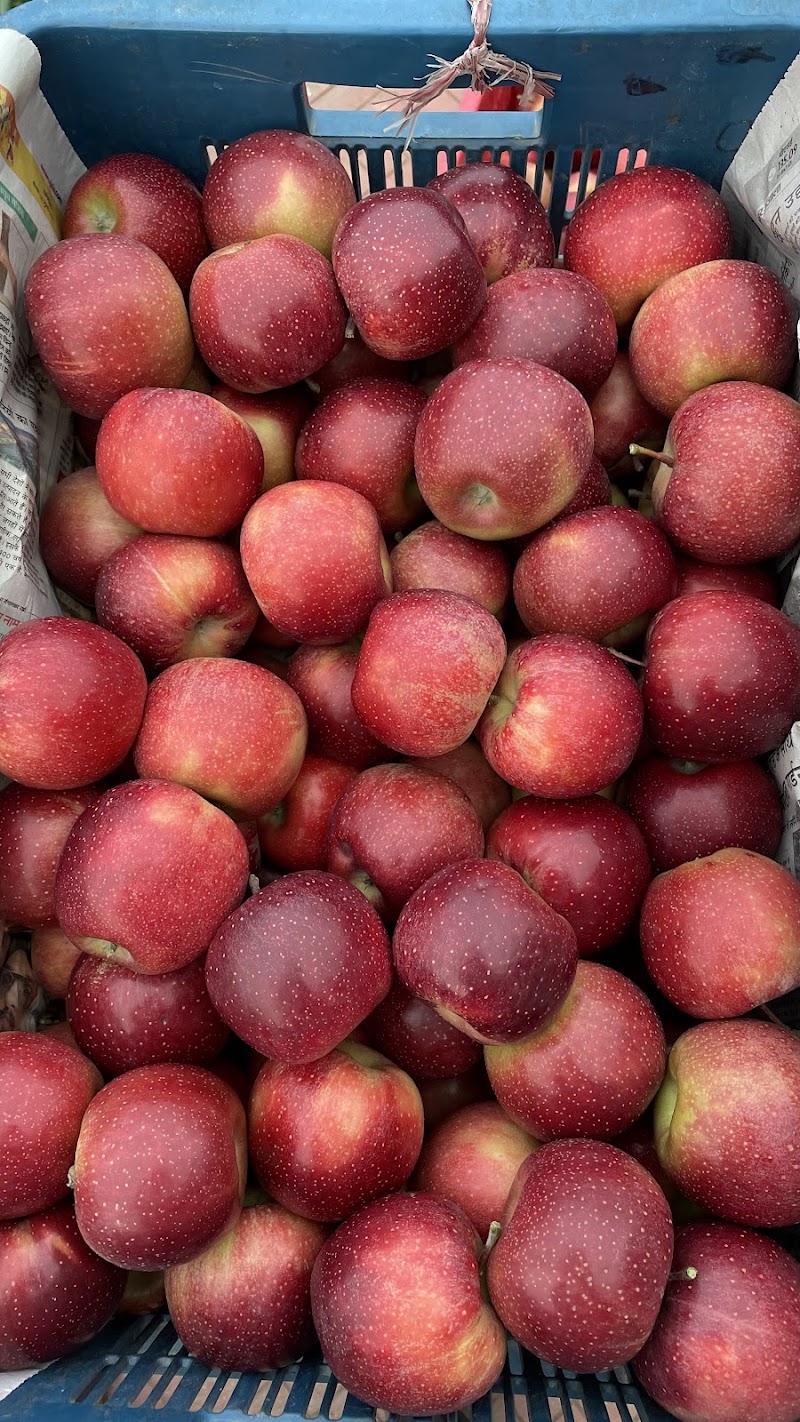 Sen apple Orchards - Sen apple Orchards, Ghrahar, Panarsa, Himachal Pradesh 175121, India