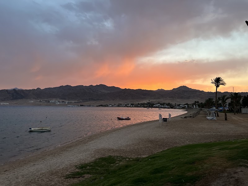 Blue Realm Dive Club - Blue Realm Dive Club, Lagoon Club & Resort, Dahab, South Sinai Governorate 8771501, Egypt
