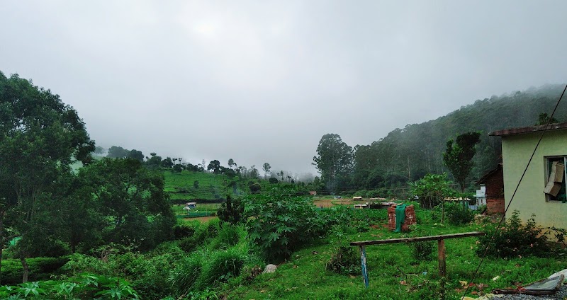 Top Hill Tea Factory - Top Hill Tea Factory, Sholurmattam Road, Amman Nagar, Denad, Kil Kotagiri, Tamil Nadu 643216, India