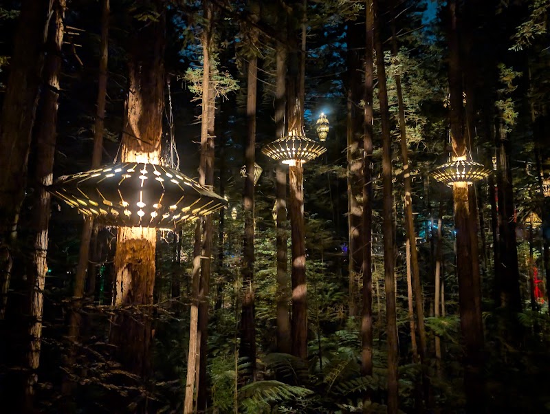 Redwoods – Whakarewarewa Forest - Redwoods – Whakarewarewa Forest Whakarewarewa, Rotorua 3074, New Zealand