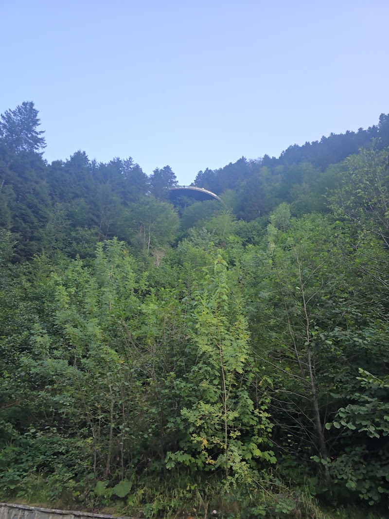 Uzungol Observation Deck - Uzungol Observation Deck Uzungöl, 61940 Çaykara/Trabzon, Türkiye