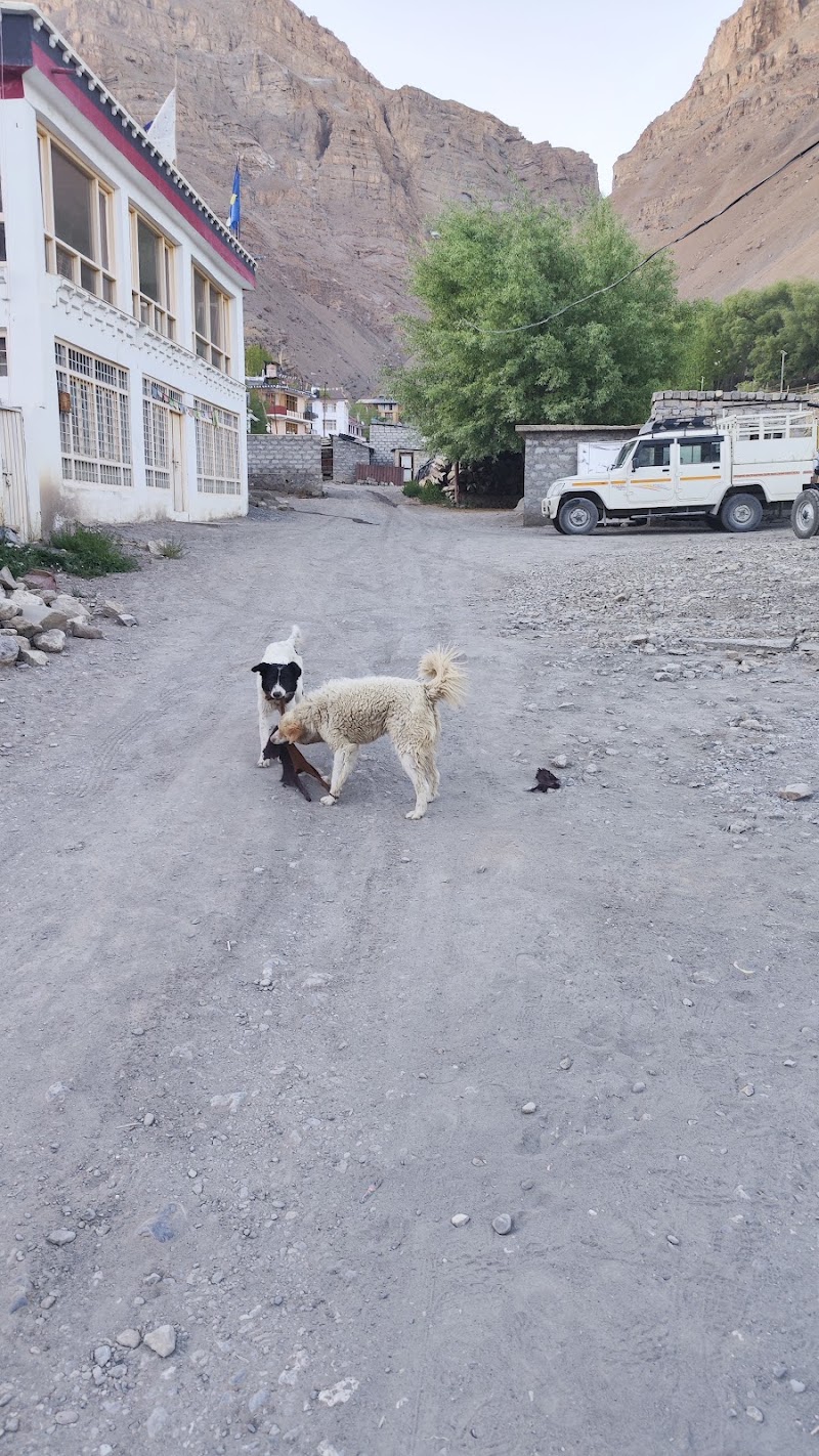 Spiti Tara - Spiti Tara 63GC+CC7, Kaza, Kaza Khas, Himachal Pradesh 172114, India
