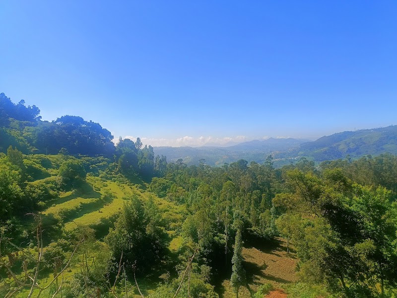Ooty mountain view