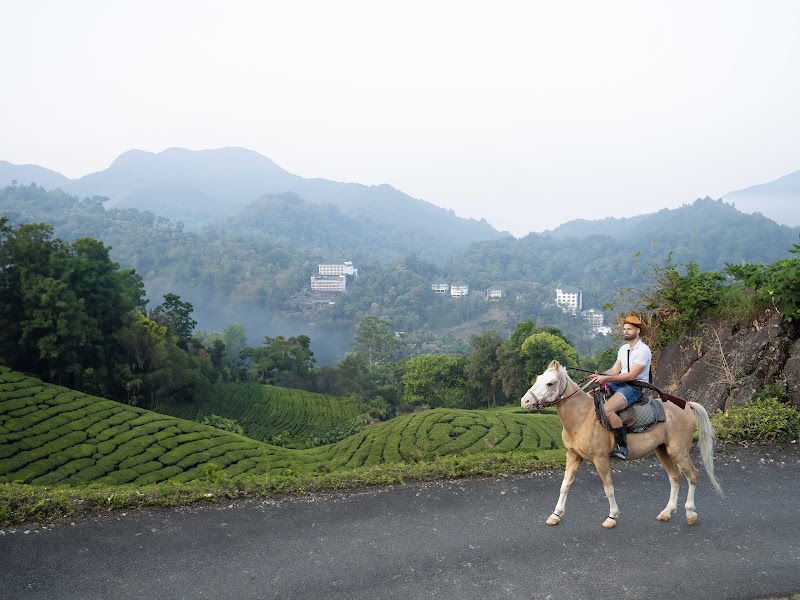 The Grand Cliff Resort, Munnar - The Grand Cliff Resort, Munnar Viripara, Kallar - Mankulam Rd, Munnar, Kerala 685565, India