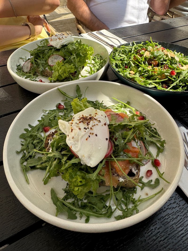 TURQUOISE Mediterranean Brasserie - TURQUOISE Mediterranean Brasserie Široká 1, 110 00 Praha 1-Josefov, Czechia