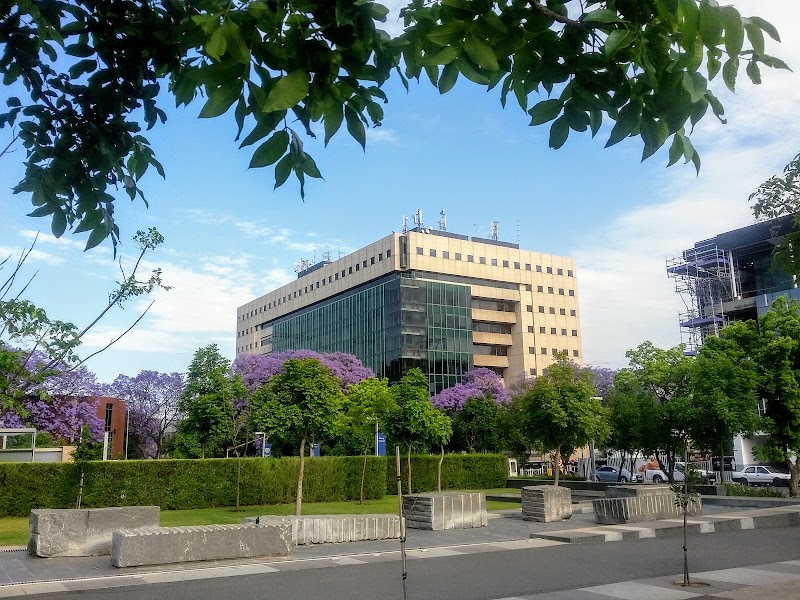 Rosebank - Rosebank, Johannesburg, 2196, South Africa