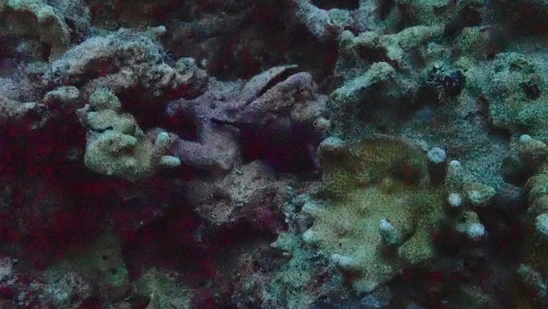 Japanese Shipwreck - Japanese Shipwreck, 84R5+VW, Daanbantayan, Cebu, Philippines