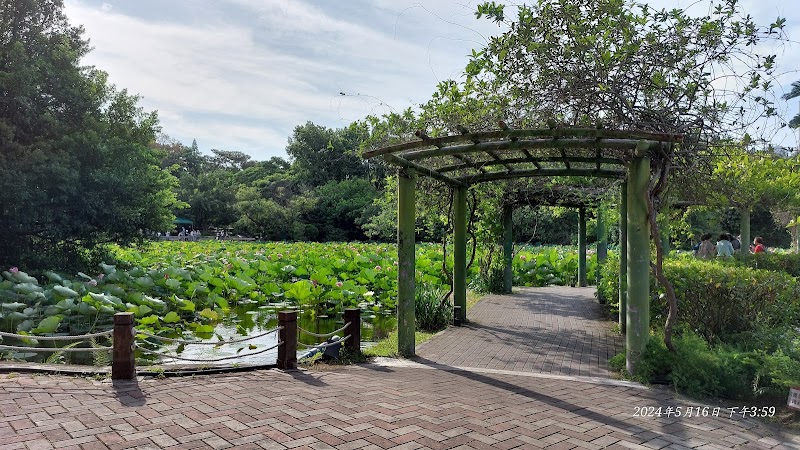 Small Pond of The Taipei Botanical Garden - Small Pond of The Taipei Botanical Garden No. 49號, Nanhai Rd, 中正區 Zhongzheng District, Taipei City, Taiwan 100