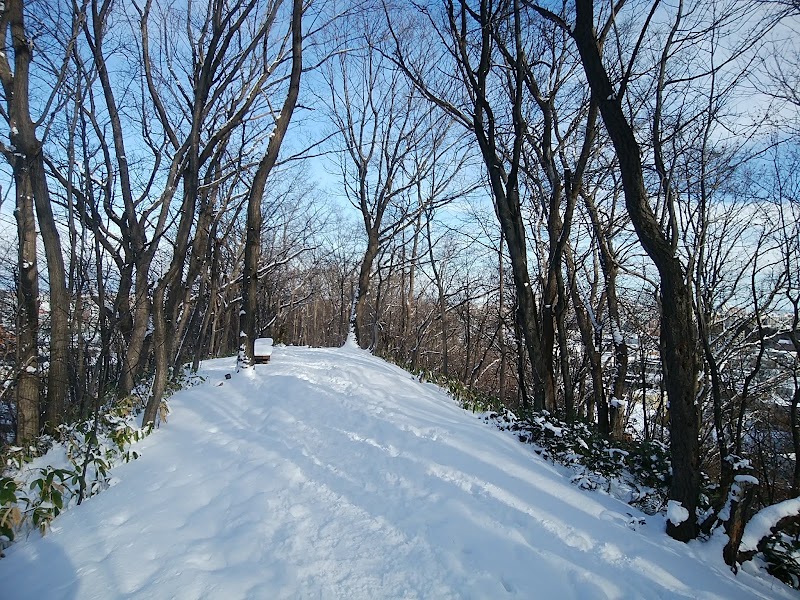Miyanomori Ryokuchi Park - Miyanomori Ryokuchi Park, 12-chōme-5-5 Miyanomori 3 Jō, Chuo Ward, Sapporo, Hokkaido 064-0953, Japan
