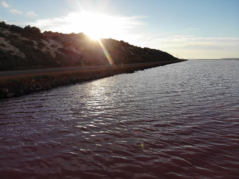 Hutt Lagoon - Hutt Lagoon, Yallabatharra WA 6535, Australia