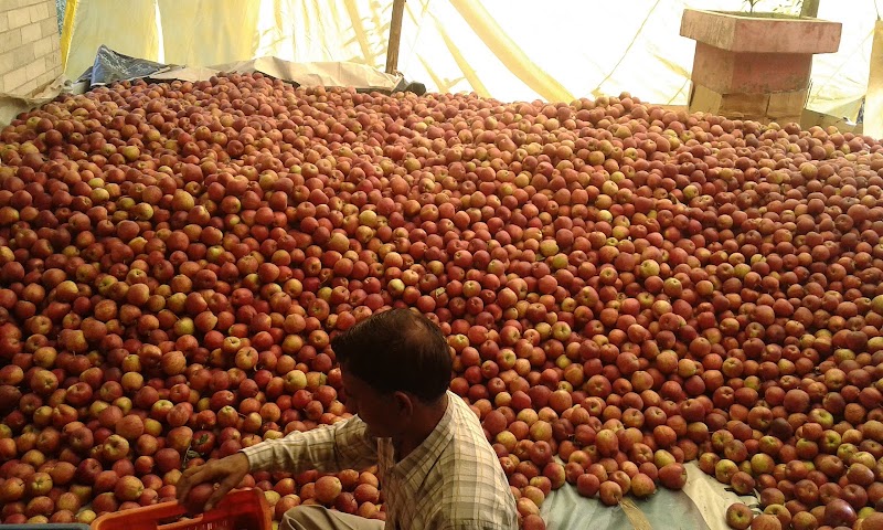 Krishana apple orchards - Krishana apple orchards, 35X9+MQ3, Nathan, Himachal Pradesh 175130, India