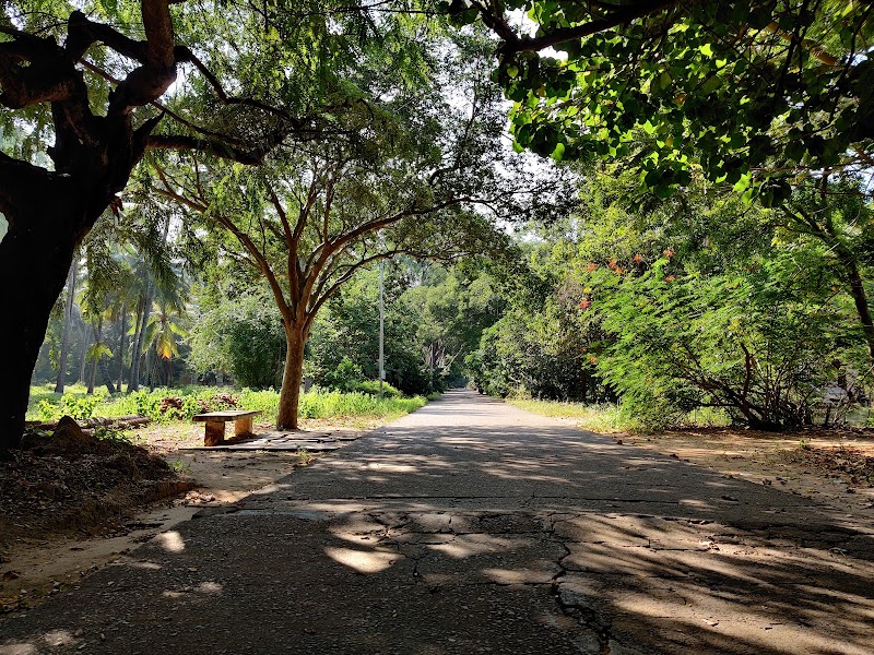 The Theosophical Society - The Theosophical Society, Arunachalapuram, Adyar, Chennai, Tamil Nadu 600020, India