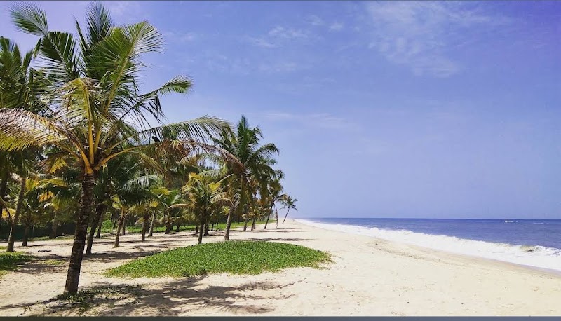 Marari beach - Marari beach SH40, Mararikkulam,Mararikkulam, South.P.O, Cherthala, Kerala 688523, India