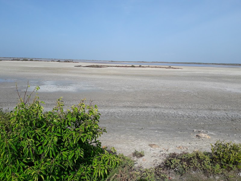 Bird Sanctuary - Bird Sanctuary, South-Coast Rd, Sri Lanka