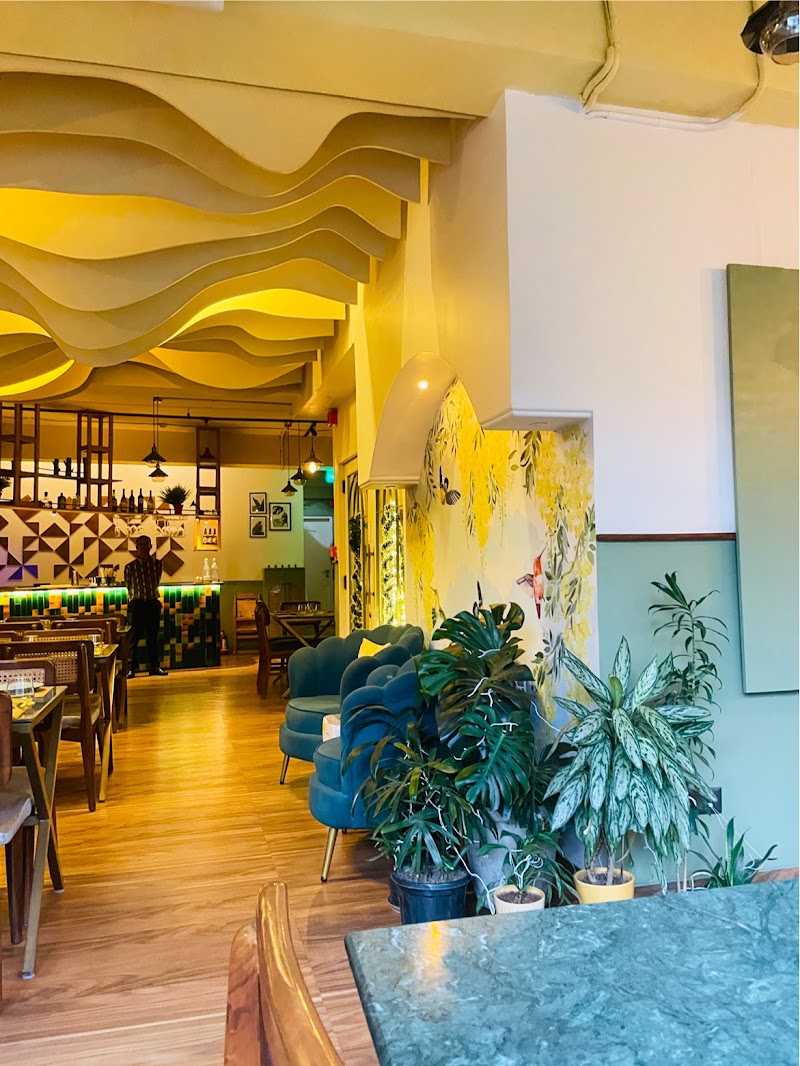 Amaltas- Indian Tapas & Bar - Amaltas- Indian Tapas & Bar M-25, First Floor, Greater Kailash-2, M-Block Market, Block M, Greater Kailash II, Greater Kailash, New Delhi, Delhi 110048, India
