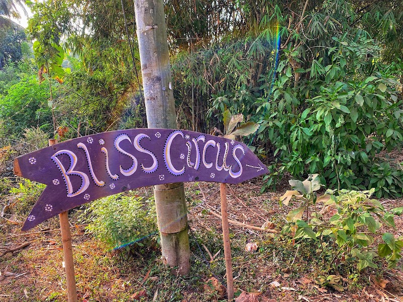 Bliss Circus - Bliss Circus Ourem Rd, inside Traverse Hostel, Mohanbagh, Palolem, Canacona, Goa 403702, India