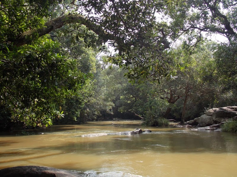 Cauvery Wildlife Sanctuary - Cauvery Wildlife Sanctuary, XMH3+J93, Chamarajanagar, Karnataka 571490, India