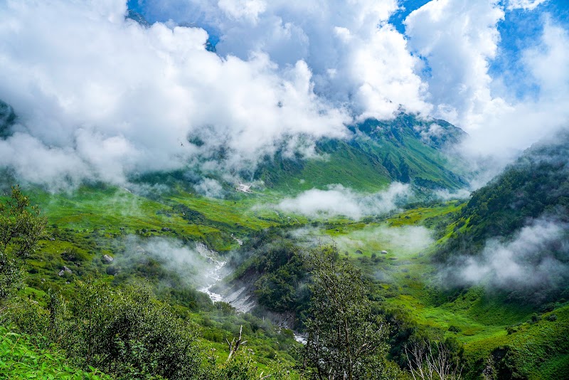Valley of Flowers, The Paradise on Earth - Valley of Flowers, The Paradise on Earth PH4W+F96, Ghangaria - Valley of Flowers Trek Rte, Ghangaria, Uttarakhand 246443, India