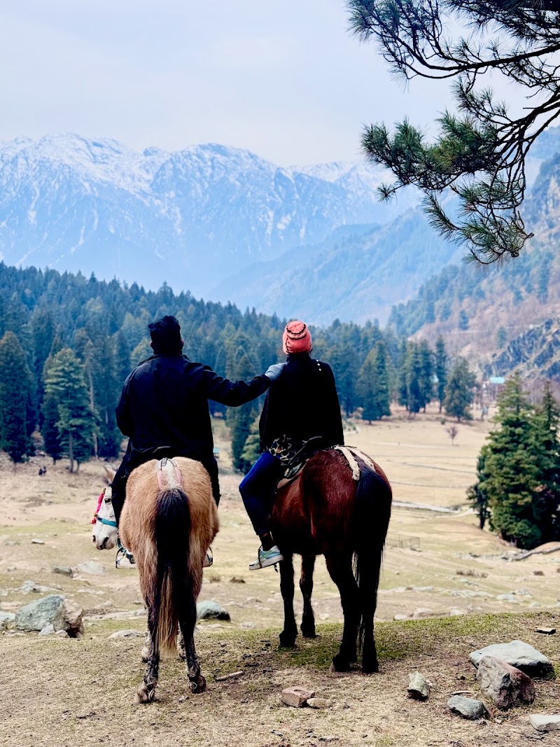 Kashmir Travelscape - Kashmir Travelscape, Shah Complex, Ompura, 191111