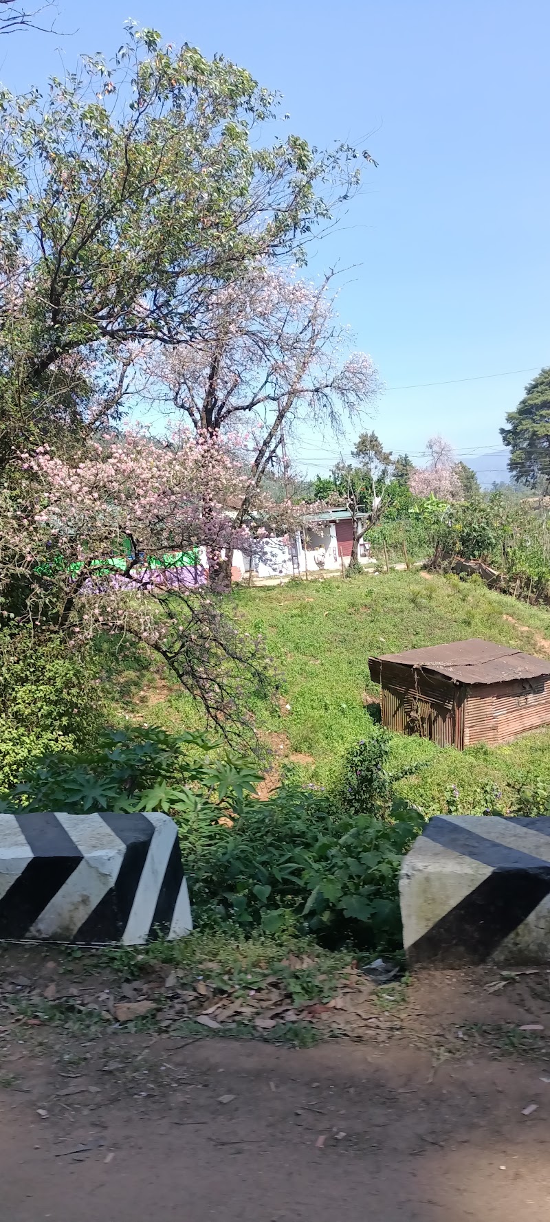 Mattupetty - Mattupetty, Munnar, Kerala 685612, India