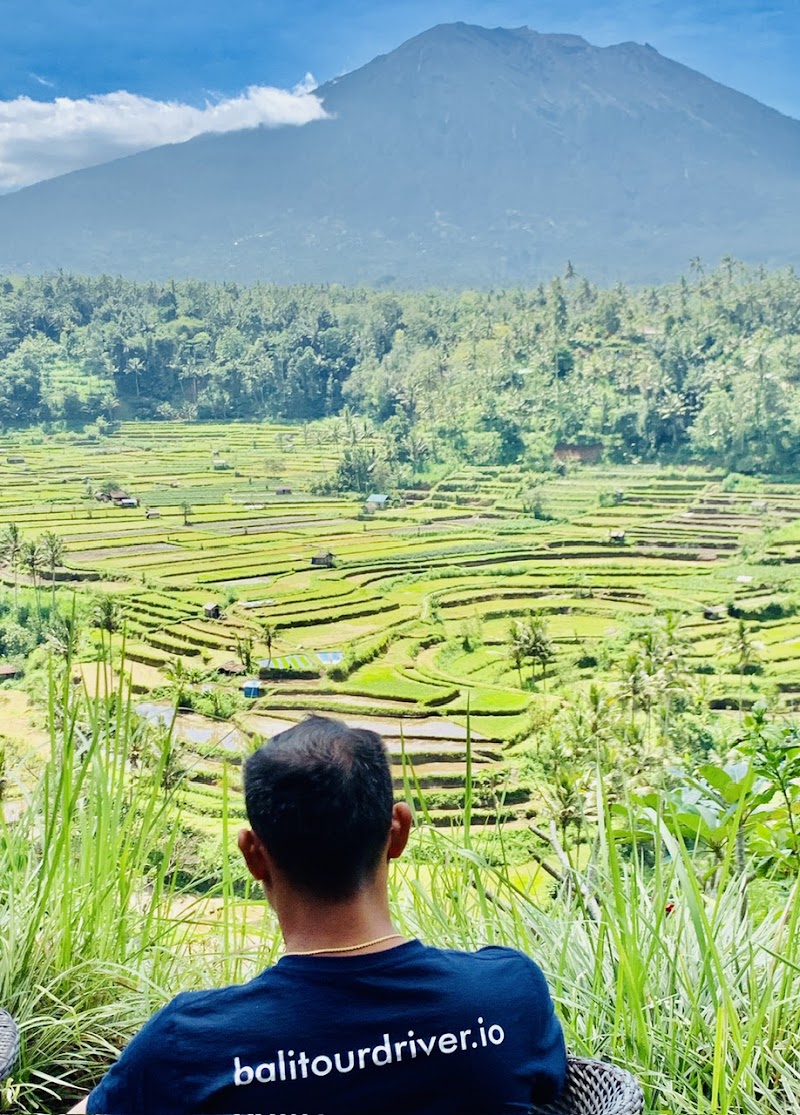 Hire Your Bali Driver - Hire Your Bali Driver, Jl. Raya Sayan Gg. Cahaya No.56, Sayan, Kecamatan Ubud, Kabupaten Gianyar, Bali 80571, Indonesia