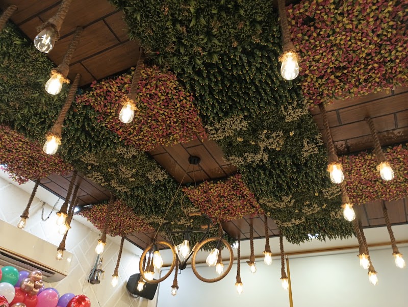 Forest House Cafe - Forest House Cafe Plot no 32, 8, Pocket C, Sector 17 Dwarka, Dwarka, New Delhi, Delhi, 110078, India