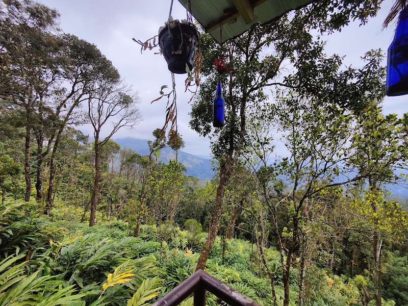 Munnar Plantation Villa. Tea Drops . - Munnar Plantation Villa. Tea Drops . Pipe Line View Point, Pallivasal, Kerala 685565, India
