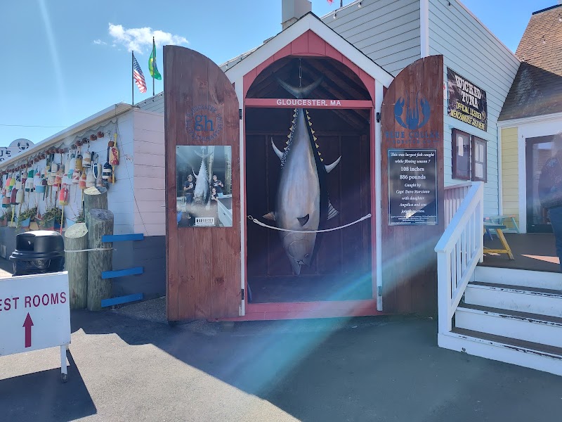 Blue Collar Lobster / The Gloucester House Pub - Blue Collar Lobster / The Gloucester House Pub 63 Rogers St, Gloucester, MA 01930, USA