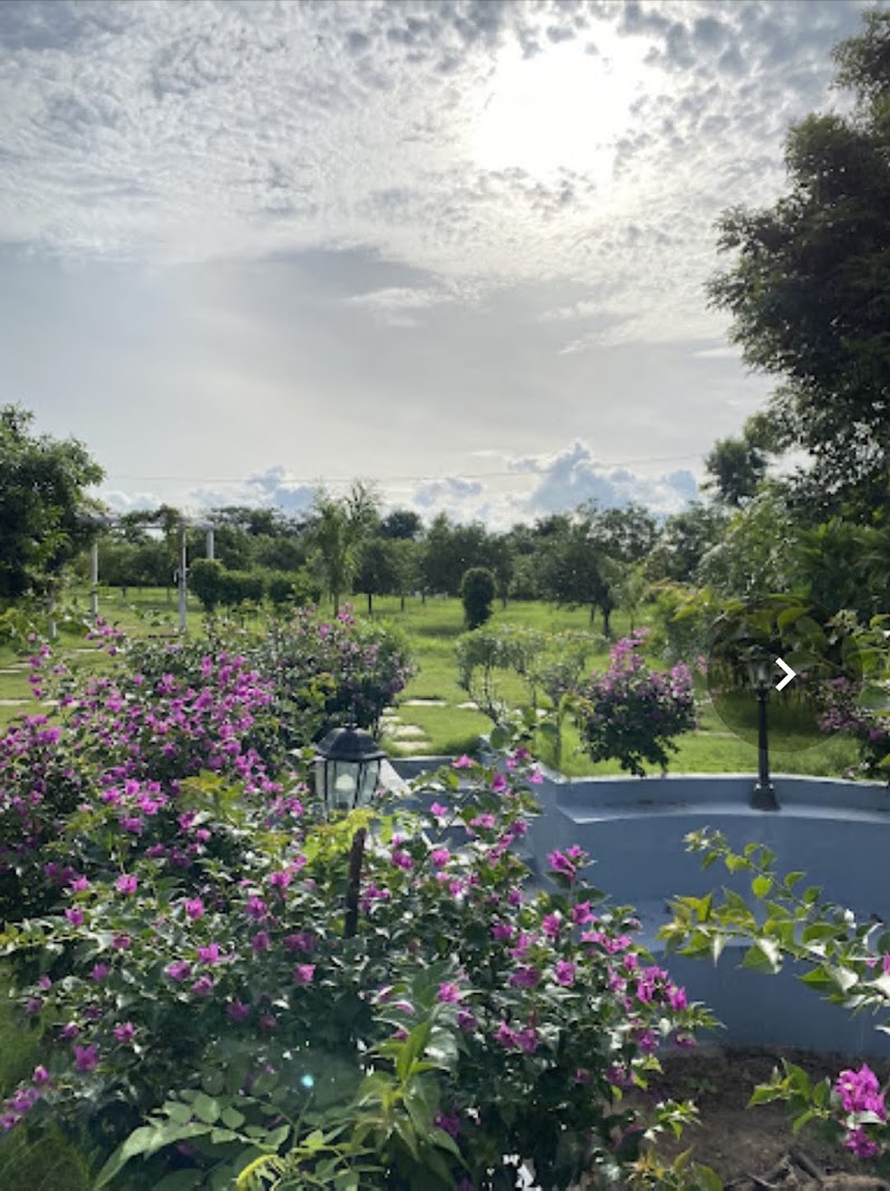 Farm Paradiso - Farm Paradiso, Appa reddyguda, Moinabad, Telangana 501504, India