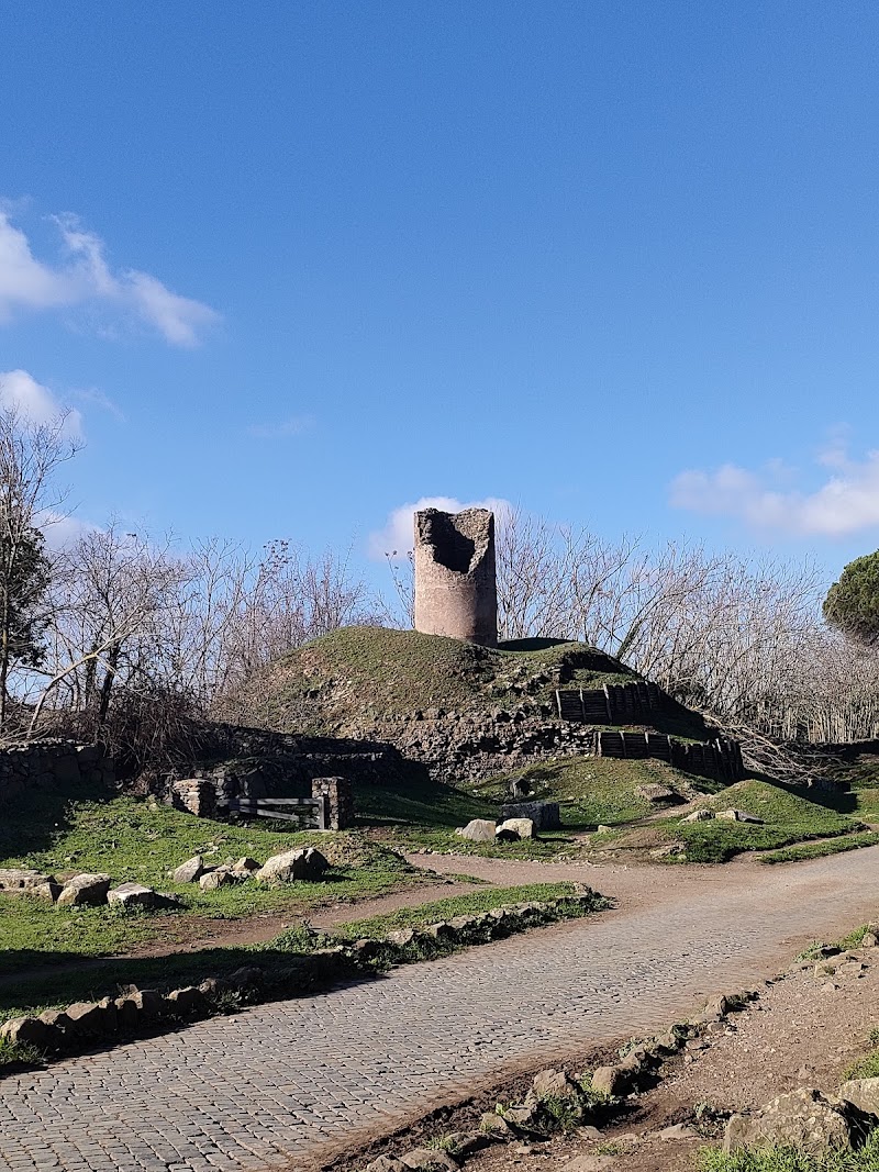 Via Appia Antica - Via Appia Antica, Città metropolitana di Roma Capitale, Italy