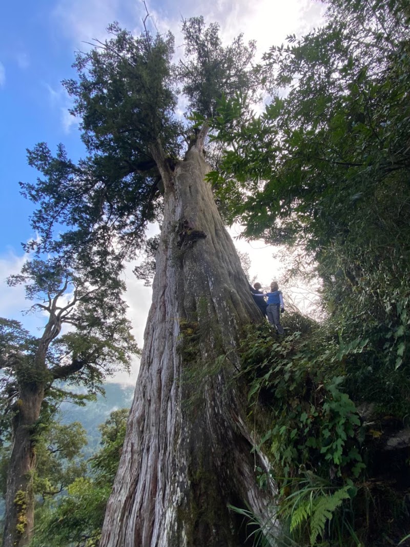 稍來山 - 稍來山, 424, Taiwan, 臺中市和平區稍來山