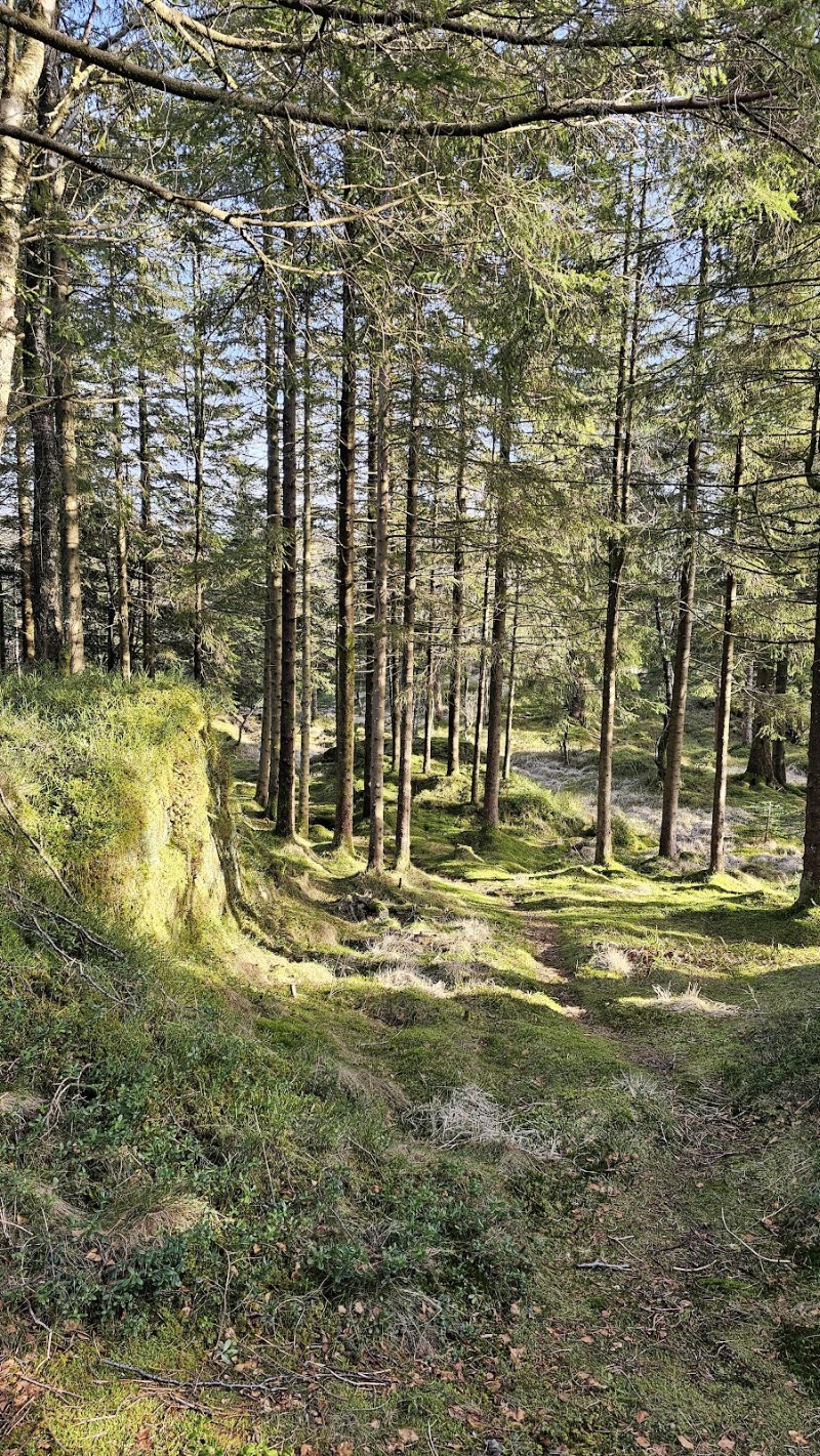 Utsiktspunkt - Utsiktspunkt, Byfjellene 20, 5014 Bergen, Norway
