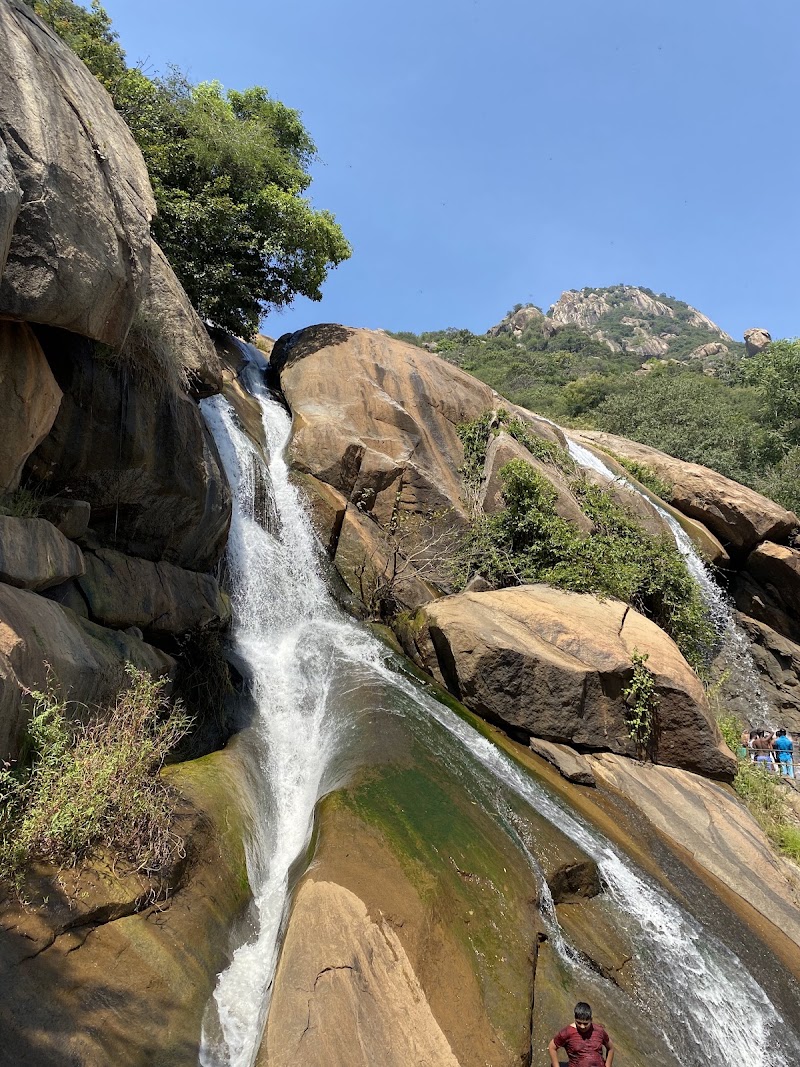 Yelagiri Forest Hill - Yelagiri Forest Hill JM32+3F9, Vallipattu, Tamil Nadu 635853, India