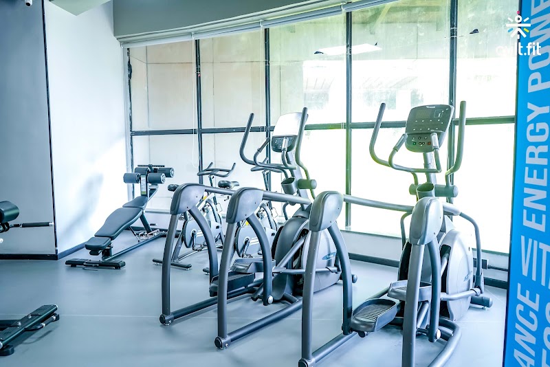Cult Gym Sinhaghad | Best Gym in Sinhaghad, Pune - Cult Gym Sinhaghad | Best Gym in Sinhaghad, Pune, 1st Floor, Venkatesh Skydale, Rajaram Bridge, Sinhgad Rd, Vittalvadi, Hingne Khurd, Pune, Maharashtra 411051, India