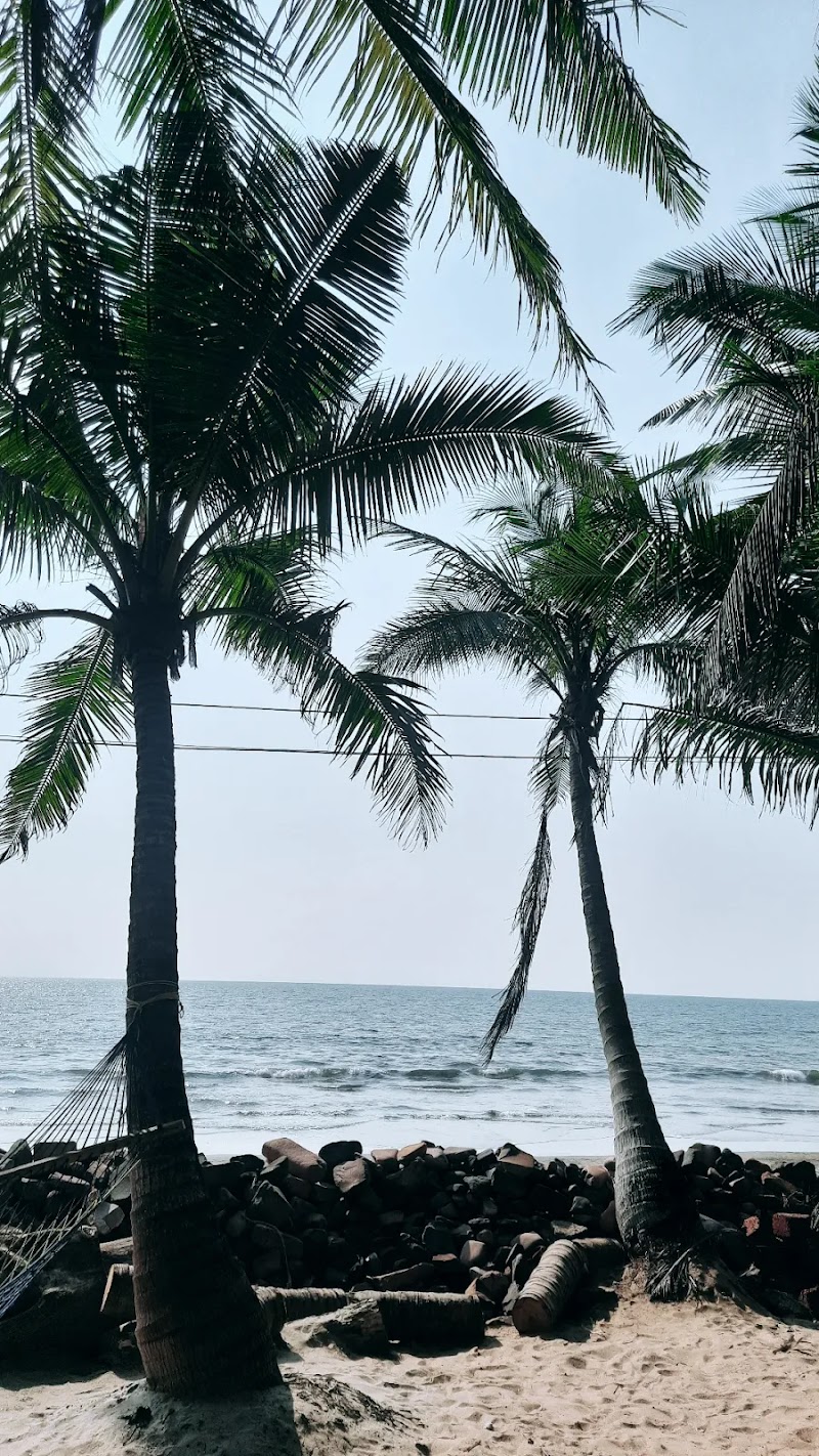 Tsea Turtle Tourism - Tsea Turtle Tourism, Block No C402, Sai Sathe Park, Deo Wada, Keshav Nagar, Chinchwad, Pimpri-Chinchwad, Pune, Maharashtra 411033, India