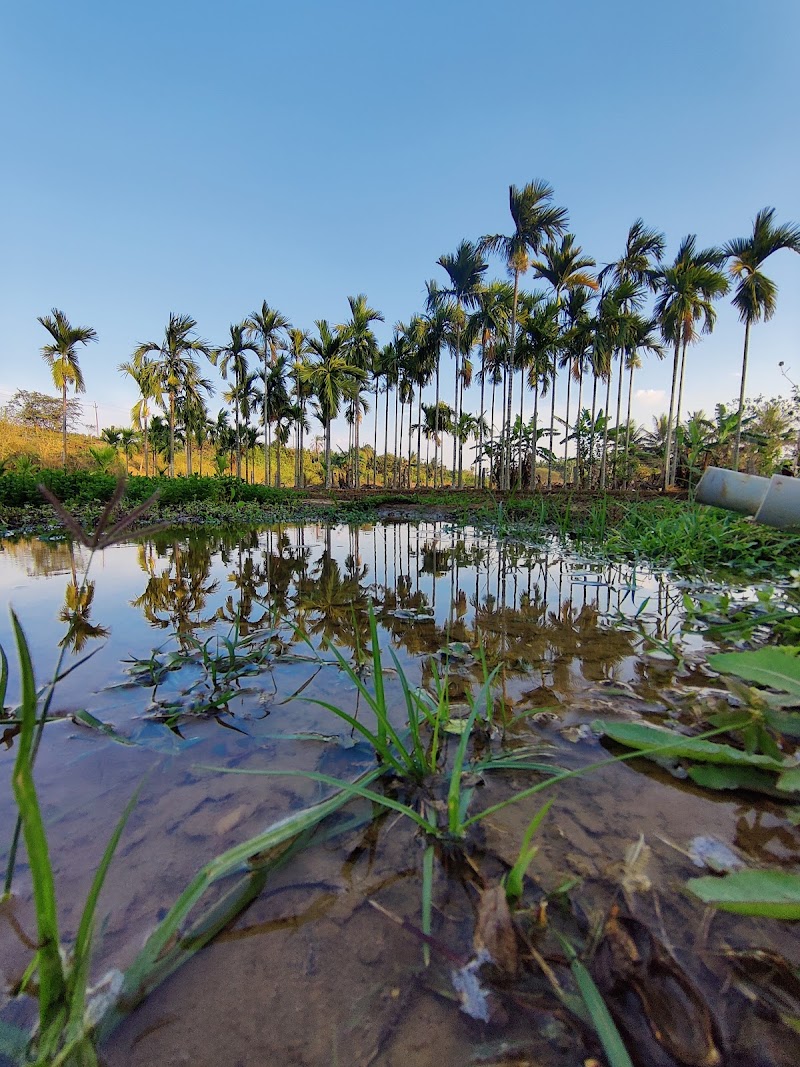 Doddaballapura - Doddaballapura Doddaballapura, Karnataka, India