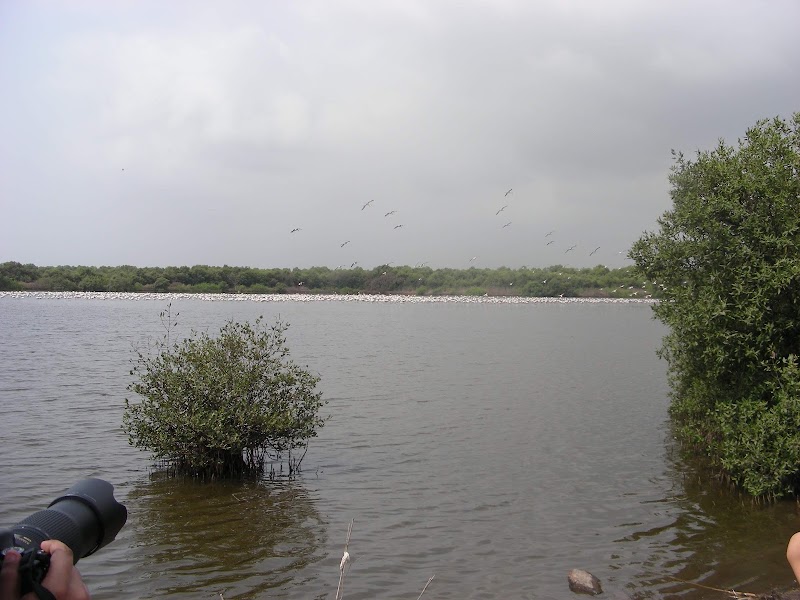 Bird Watching Area, Bhandup West (BPS) - Bird Watching Area, Bhandup West (BPS) 4XR7+QV6, Mulund East, Mumbai, Maharashtra 400042, India