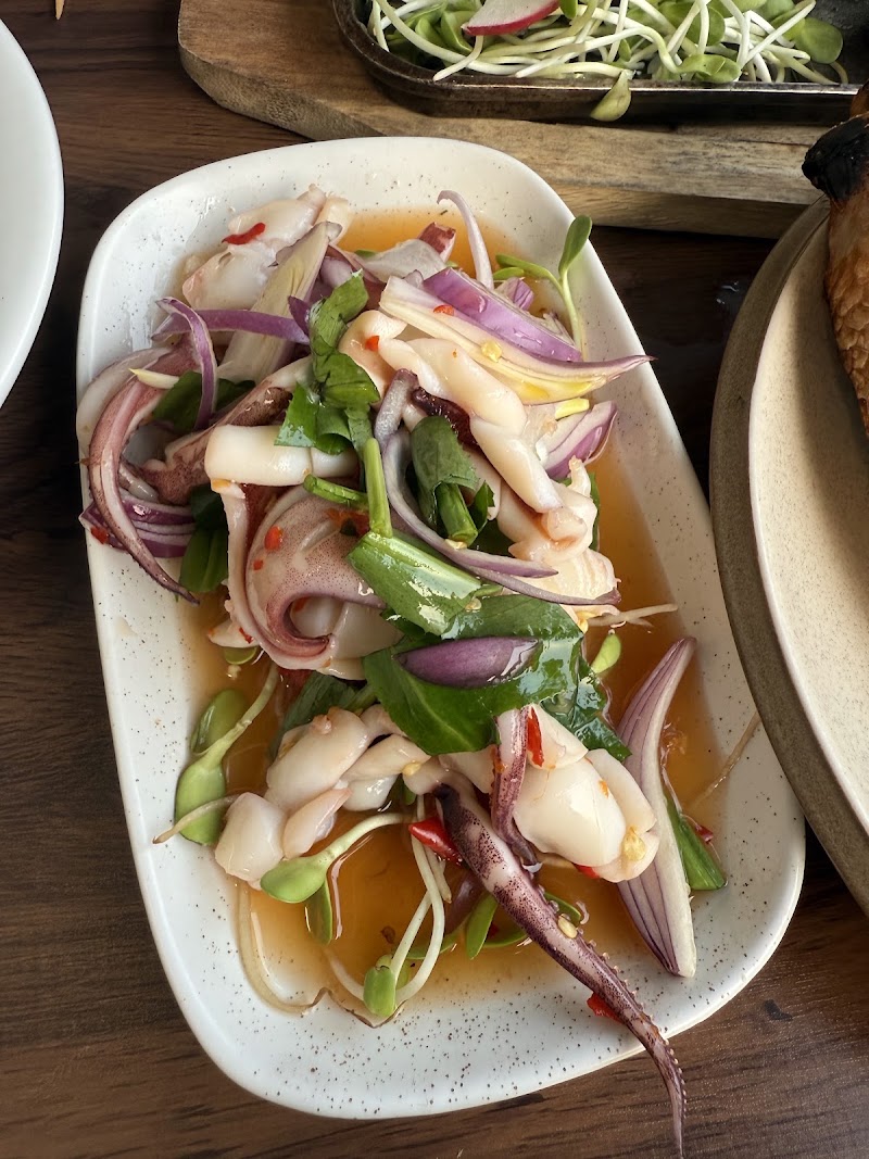 Jen Moy(คอแห้ง) Local Thai Restaurant - Jen Moy(คอแห้ง) Local Thai Restaurant, 138 Bumruang Rajd Rd, Tambon Wat Ket, Amphoe Mueang Chiang Mai, Chang Wat Chiang Mai 50000, Thailand