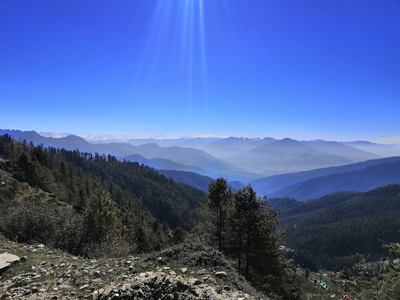 Narkanda Road - Narkanda Road, Narkanda Rd, Himachal Pradesh, India