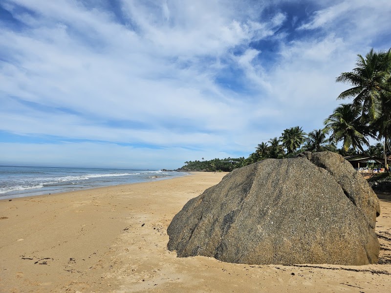 Kosgoda Sea Turtle Conservation Project - Kosgoda Sea Turtle Conservation Project Mahapalena, No. 13/A Galle Rd, Kosgoda 80570, Sri Lanka