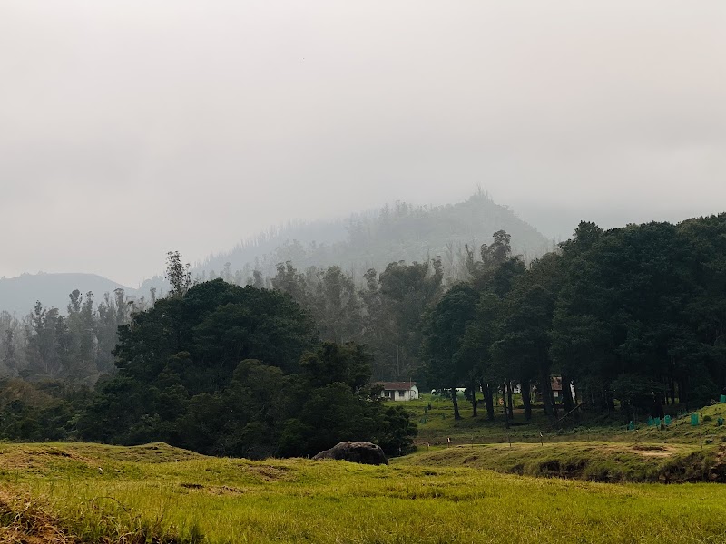 Ooty Tourism - Ooty Tourism Ooty Tourism, CM7R+822, Kandal Main Bazaar St, Kandal, Ooty, Tamil Nadu 643001, India