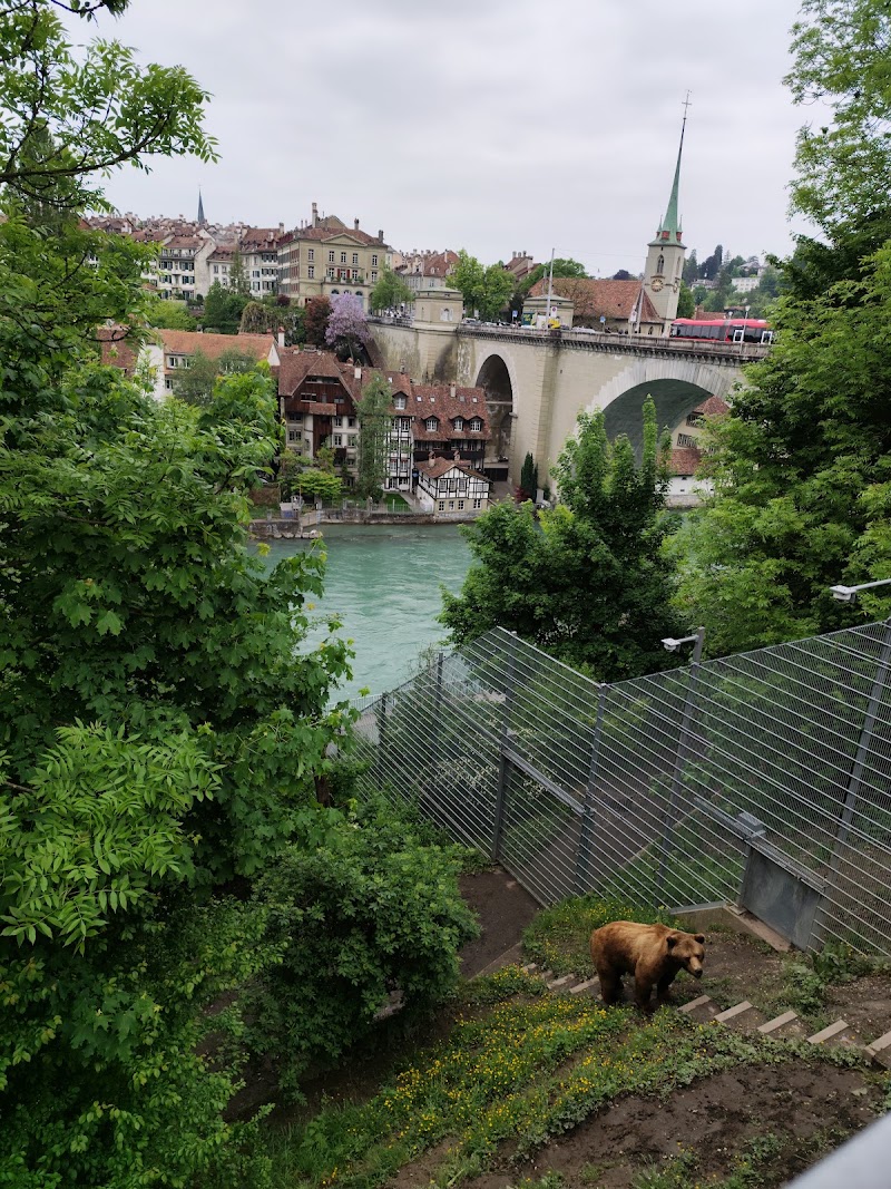 BearPark - BearPark Grosser Muristalden 4, 3006 Bern, Switzerland