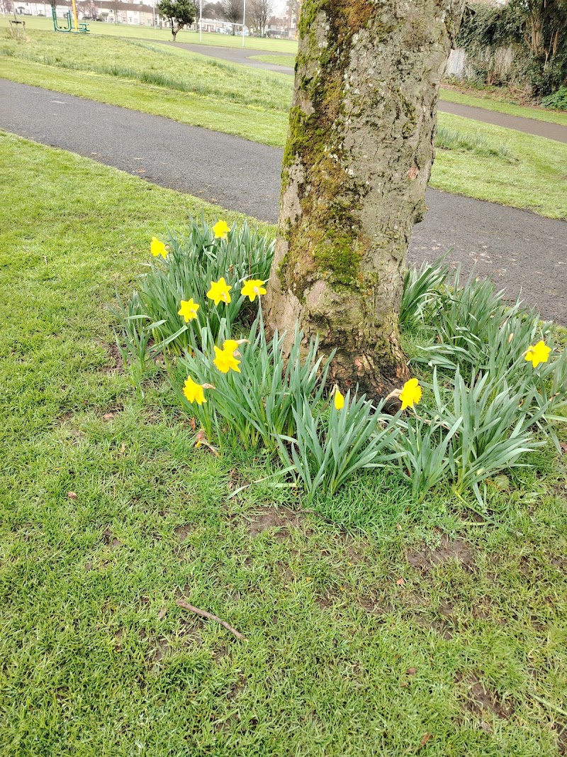 William Pearse Park - William Pearse Park Drimnagh, Dublin, Ireland