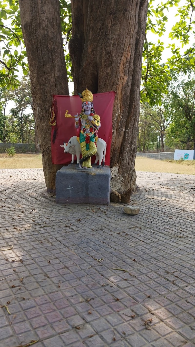 Sri Balaji Gau Seva Aashram - Sri Balaji Gau Seva Aashram, CR37+Q4, Korba, Chhattisgarh 495683, India