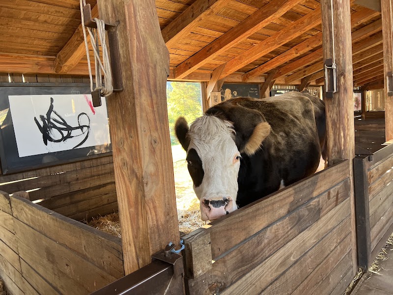 Farm Sanctuary SA - Farm Sanctuary SA, 63 Dirkie Uys St, Franschhoek, 7690, South Africa