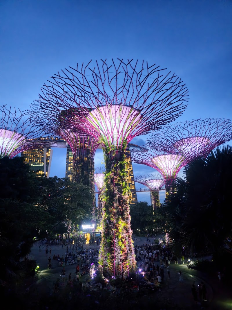 Gardens by the Bay - Gardens by the Bay 18 Marina Gardens Dr, Singapore 018953