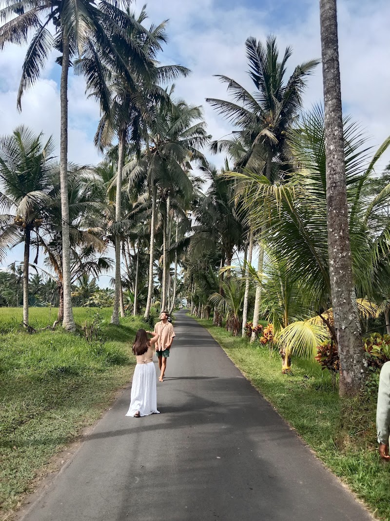 UBUD DRIVER SERVICE AND TOURS - UBUD DRIVER SERVICE AND TOURS, Gg. Anila No.24, Ubud, Kecamatan Ubud, Kabupaten Gianyar, Bali 80571, Indonesia
